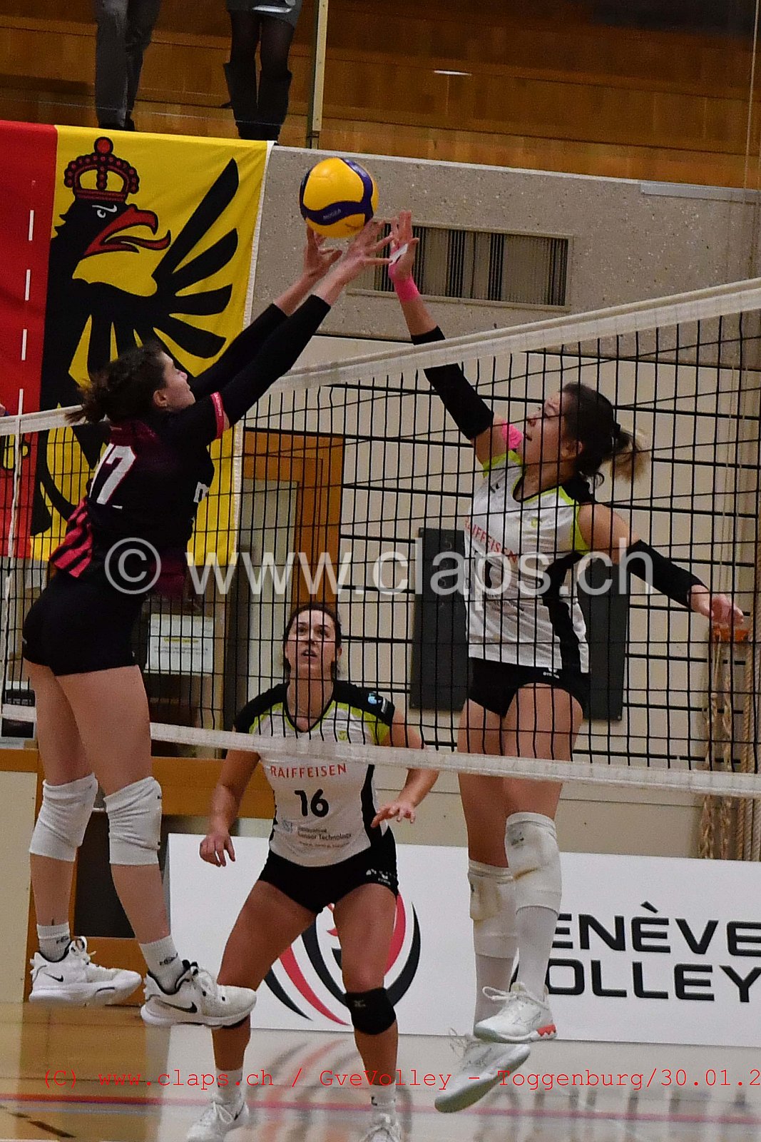 GeneveVolley Toggenburg janvier 2022