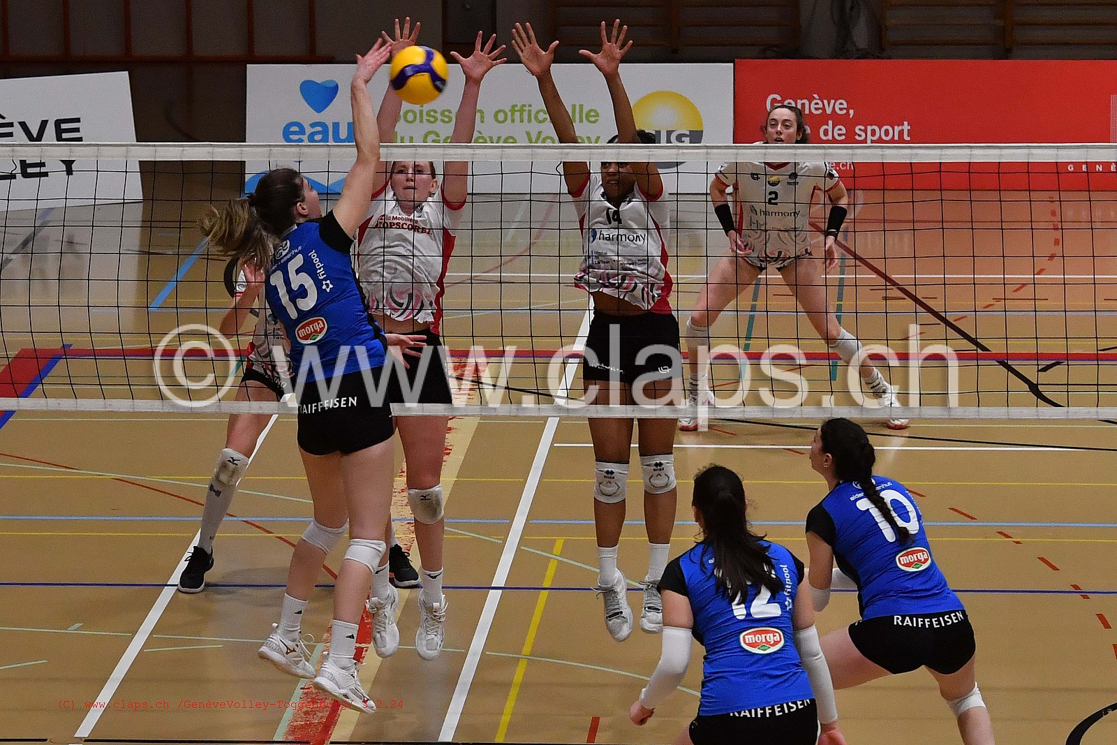 20240203 Geneve Volley - Toggenburg