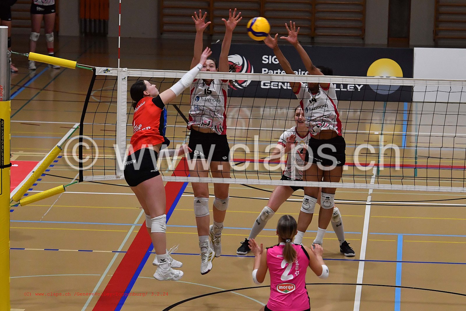 20240203 Geneve Volley - Toggenburg