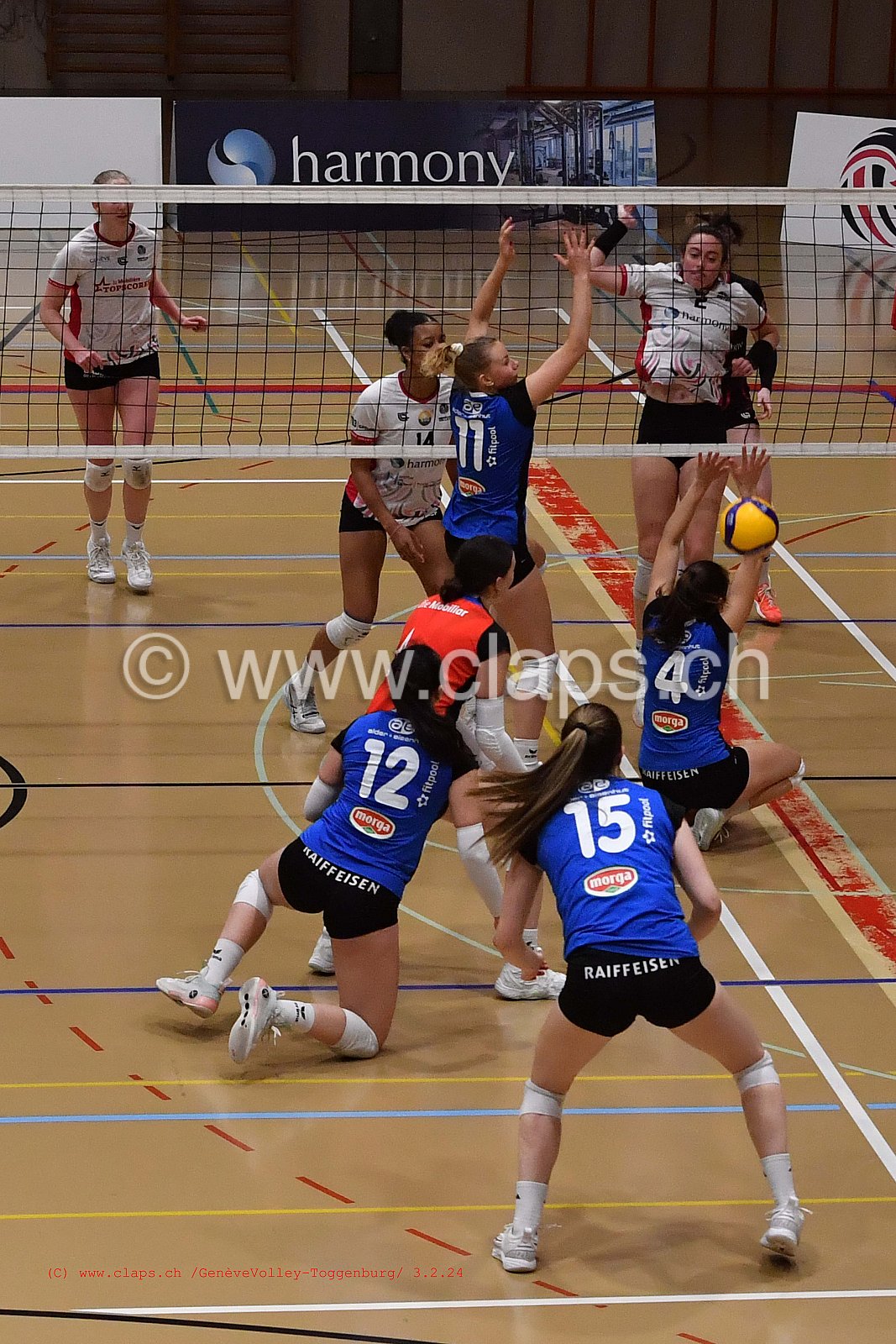 20240203 Geneve Volley - Toggenburg