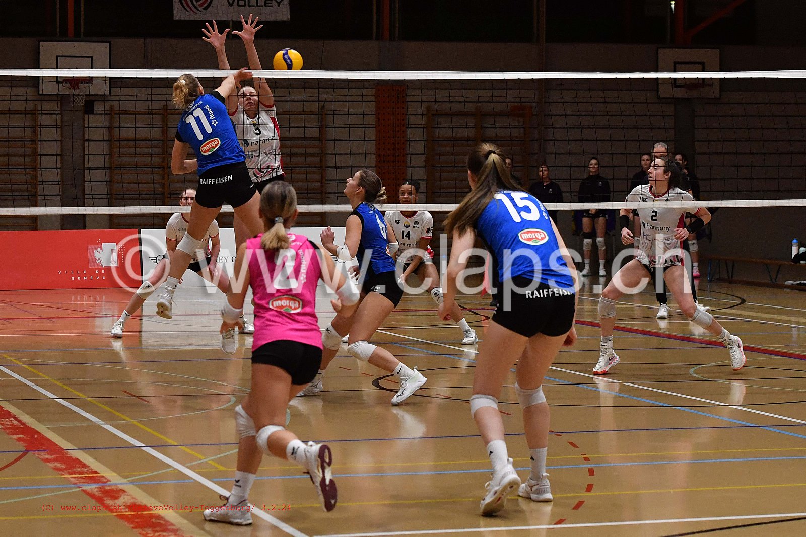 20240203 Geneve Volley - Toggenburg