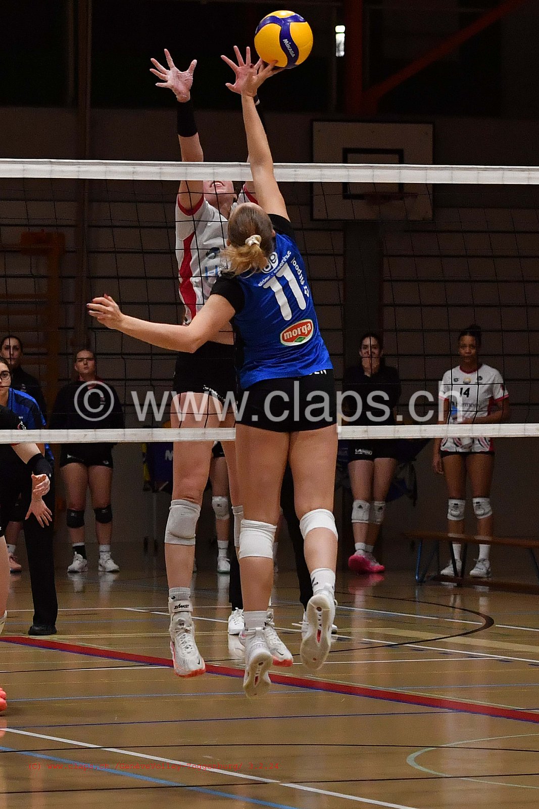 20240203 Geneve Volley - Toggenburg