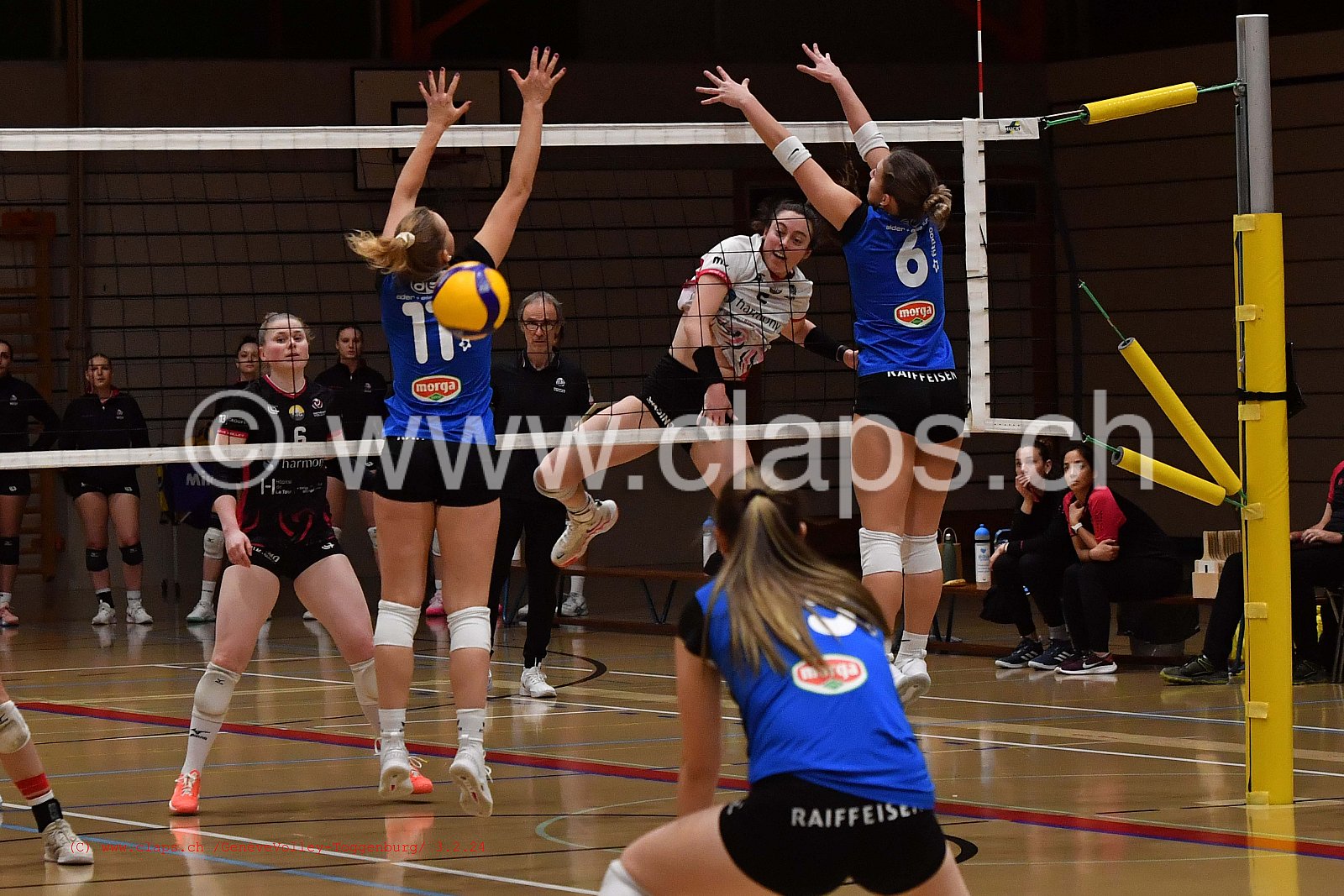20240203 Geneve Volley - Toggenburg