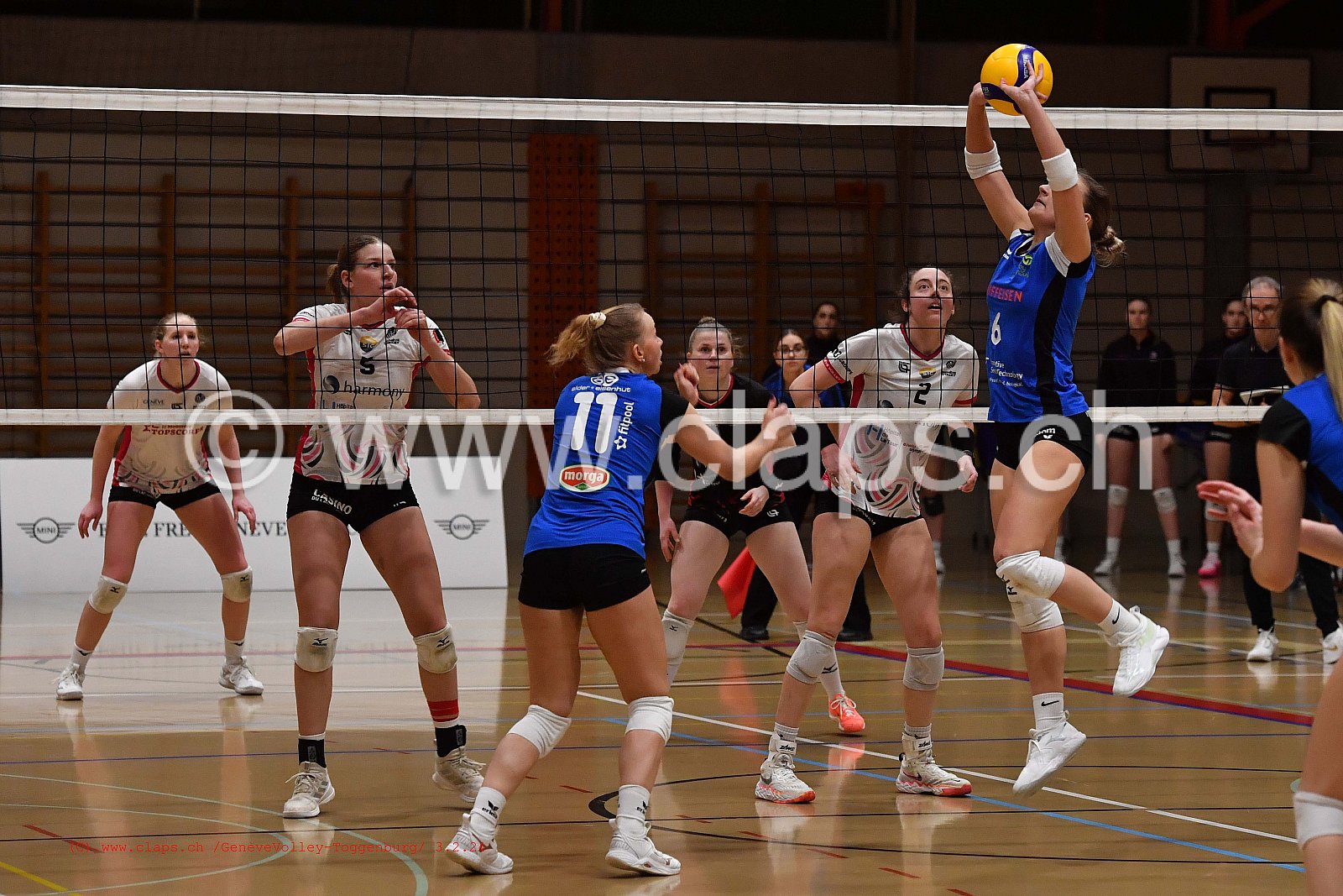 20240203 Geneve Volley - Toggenburg