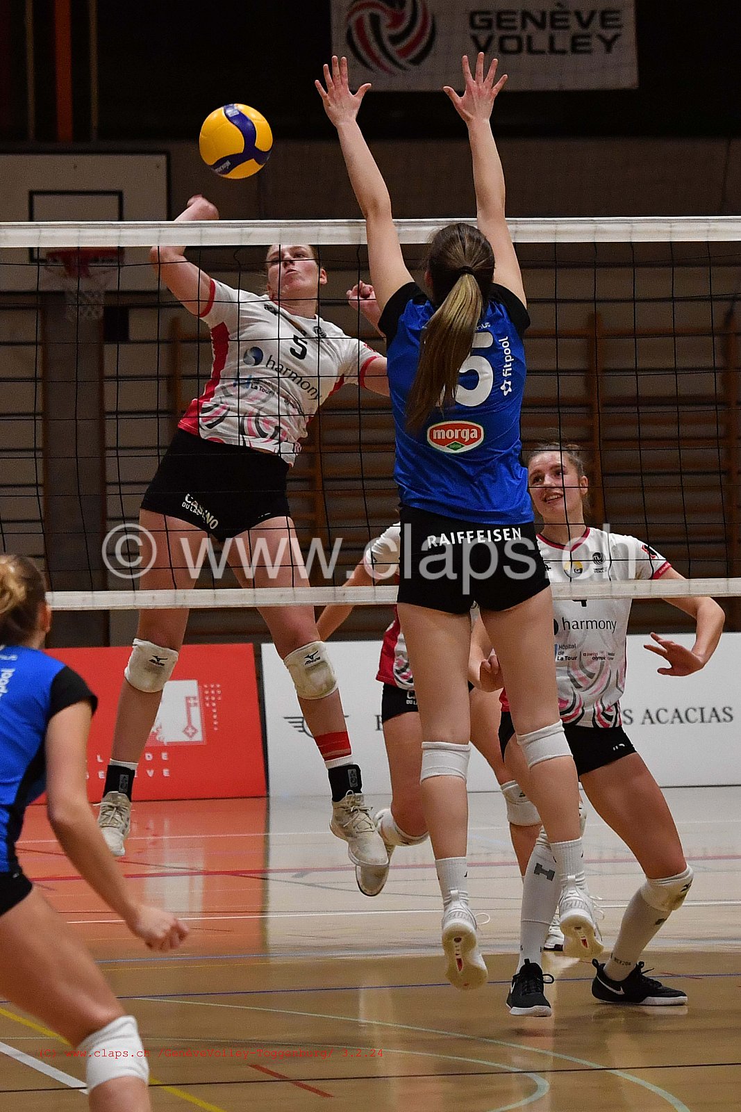 20240203 Geneve Volley - Toggenburg