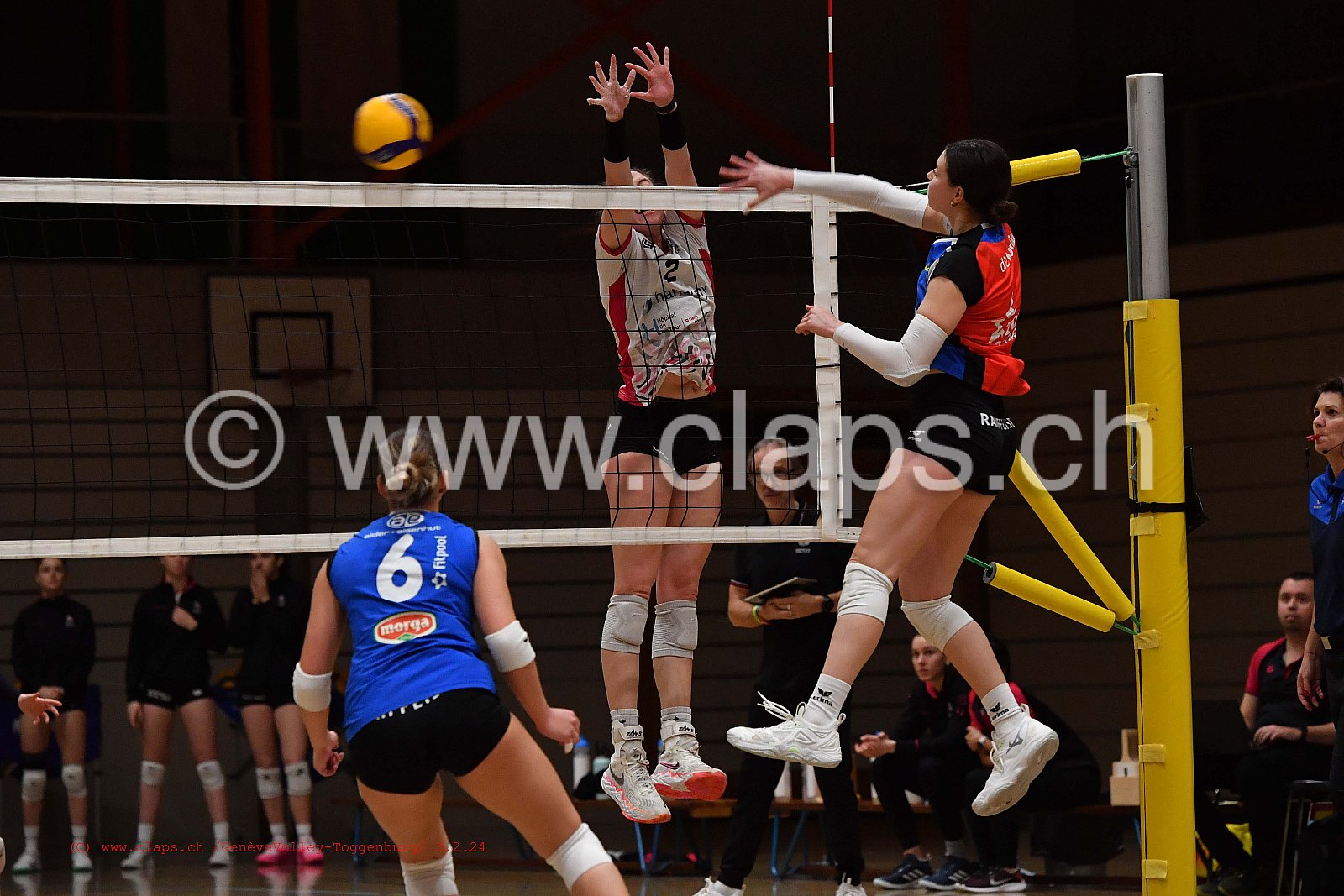 20240203 Geneve Volley - Toggenburg