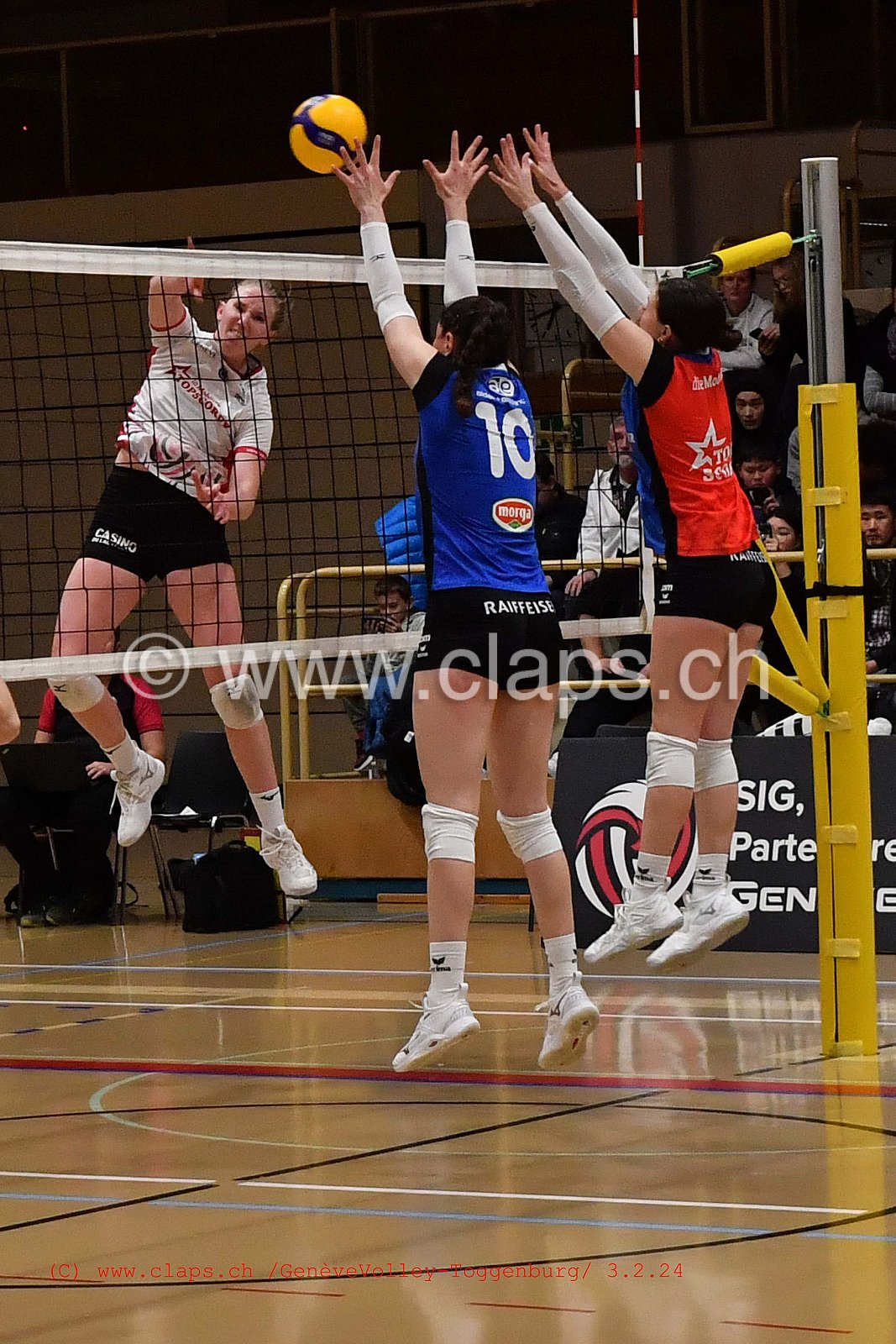 20240203 Geneve Volley - Toggenburg
