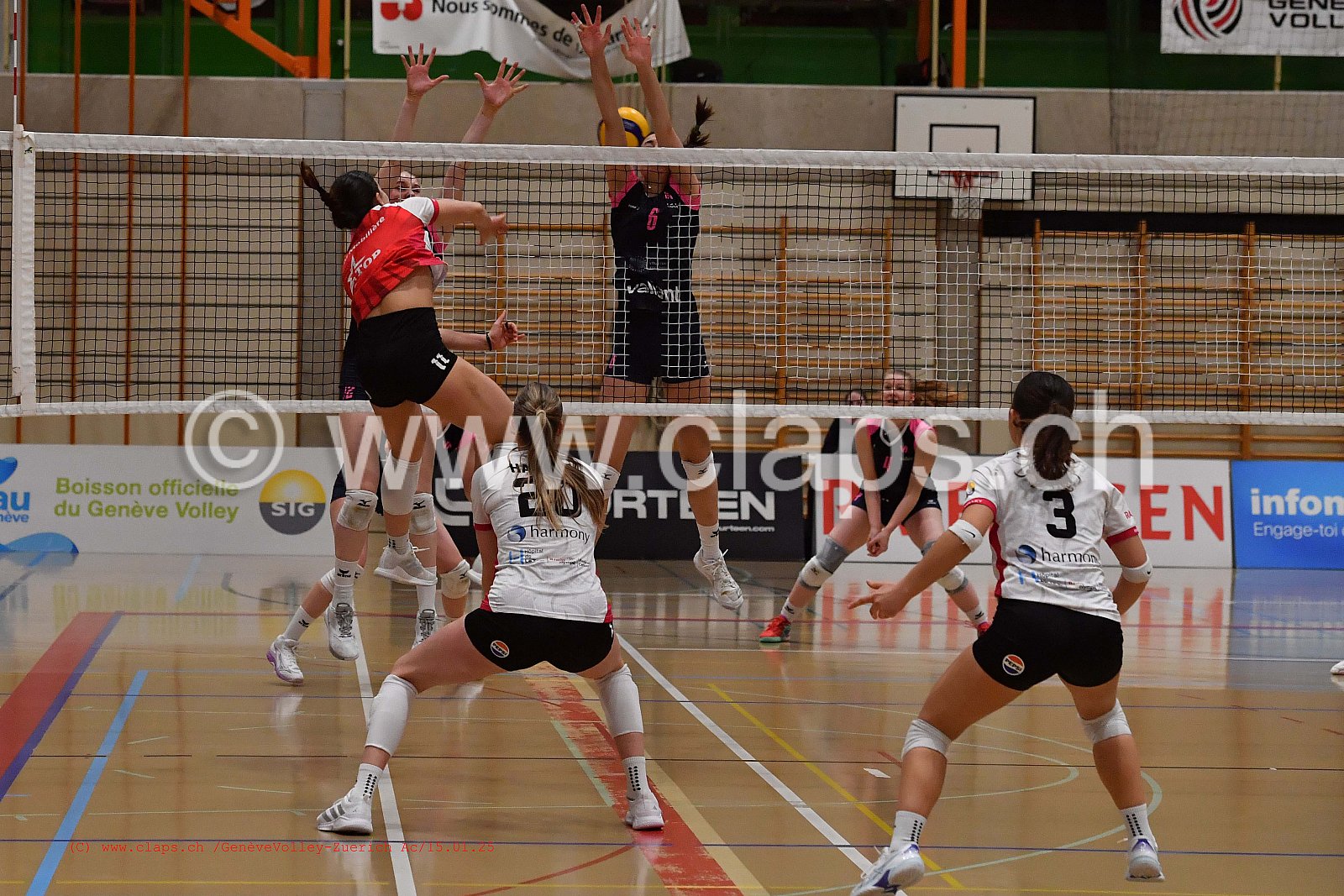 20250115_Infomaniak_GeneveVolley_Zuerich_Academy