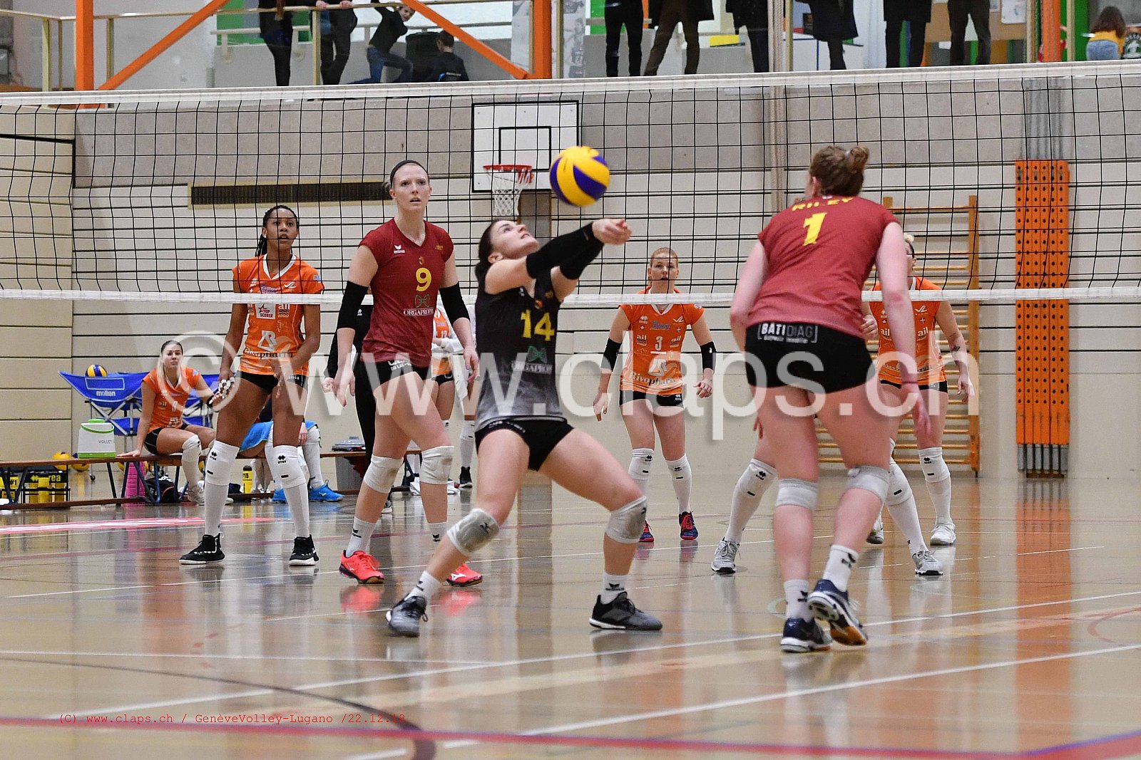 GeneveVolley - Lugano