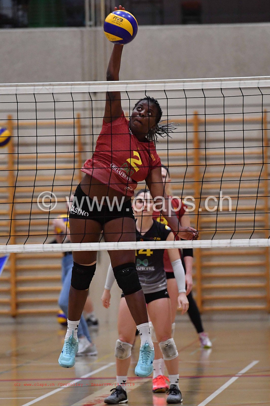 GeneveVolley - ZesarVfm