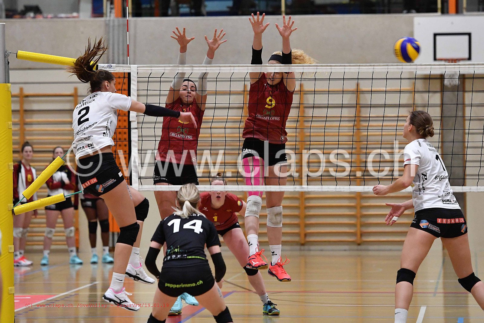 GeneveVolley - ZesarVfm