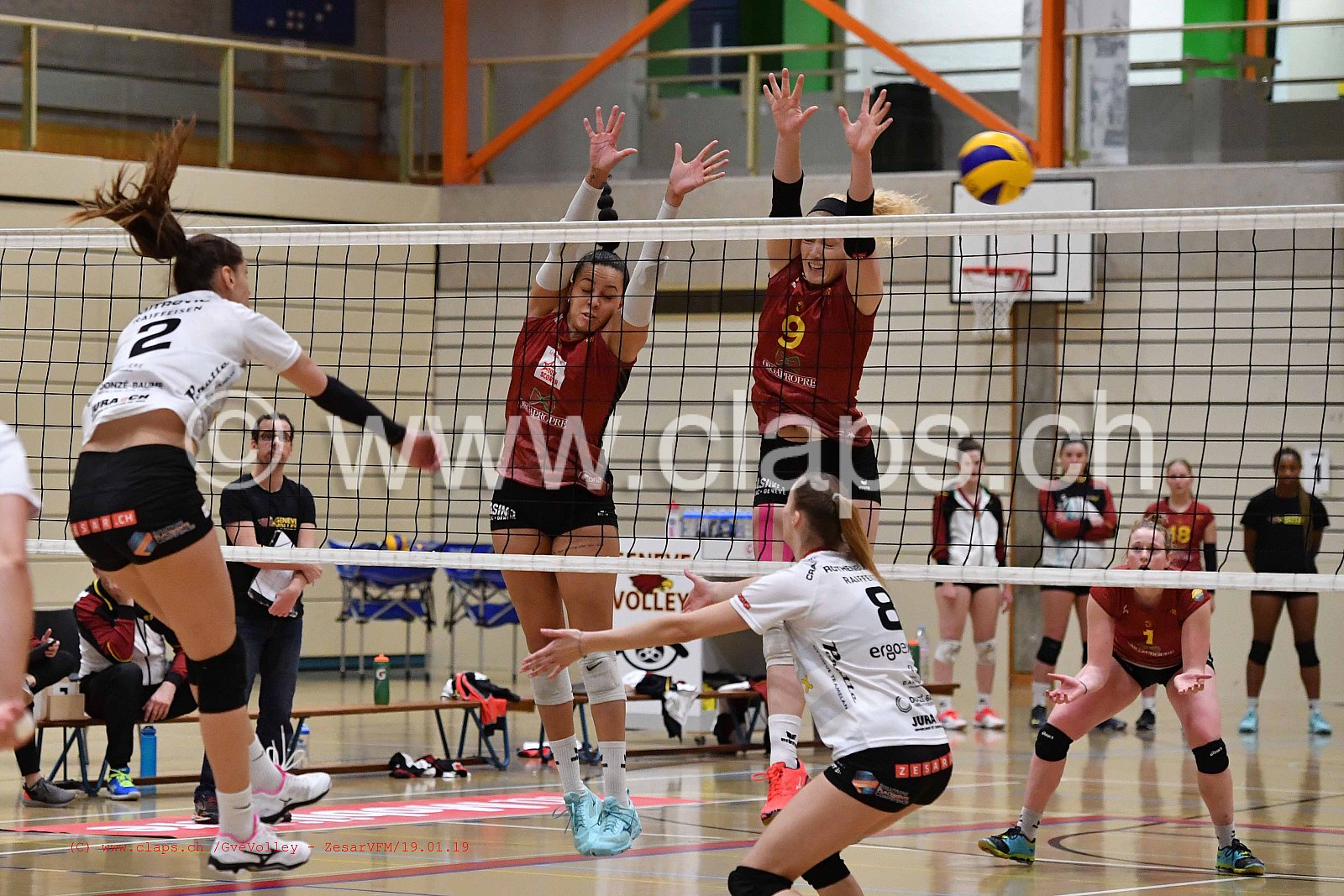 GeneveVolley - ZesarVfm