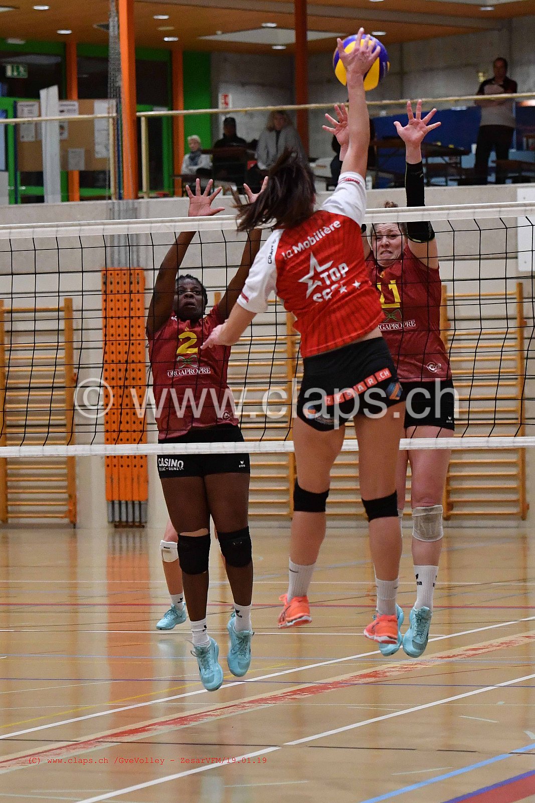 GeneveVolley - ZesarVfm