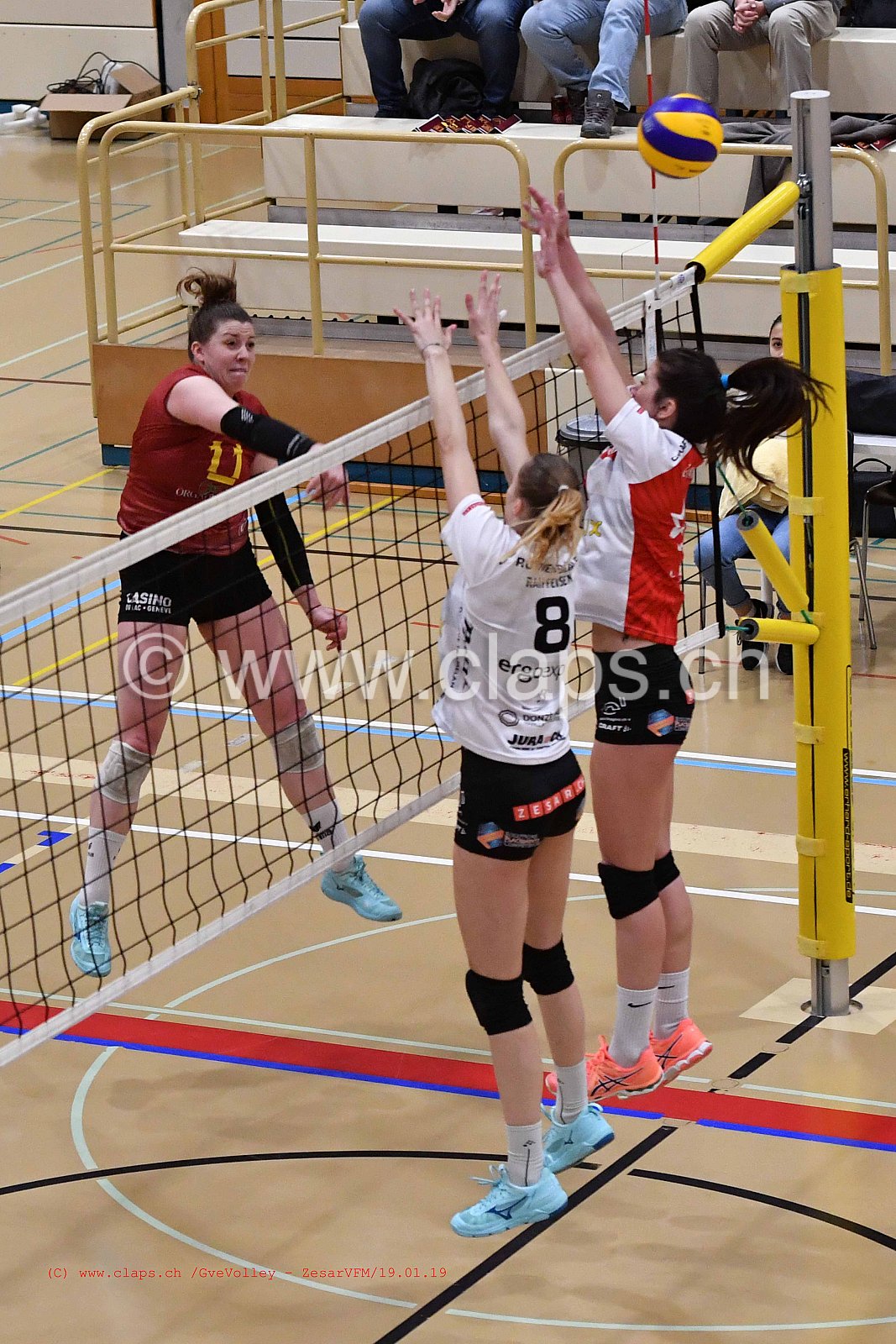 GeneveVolley - ZesarVfm