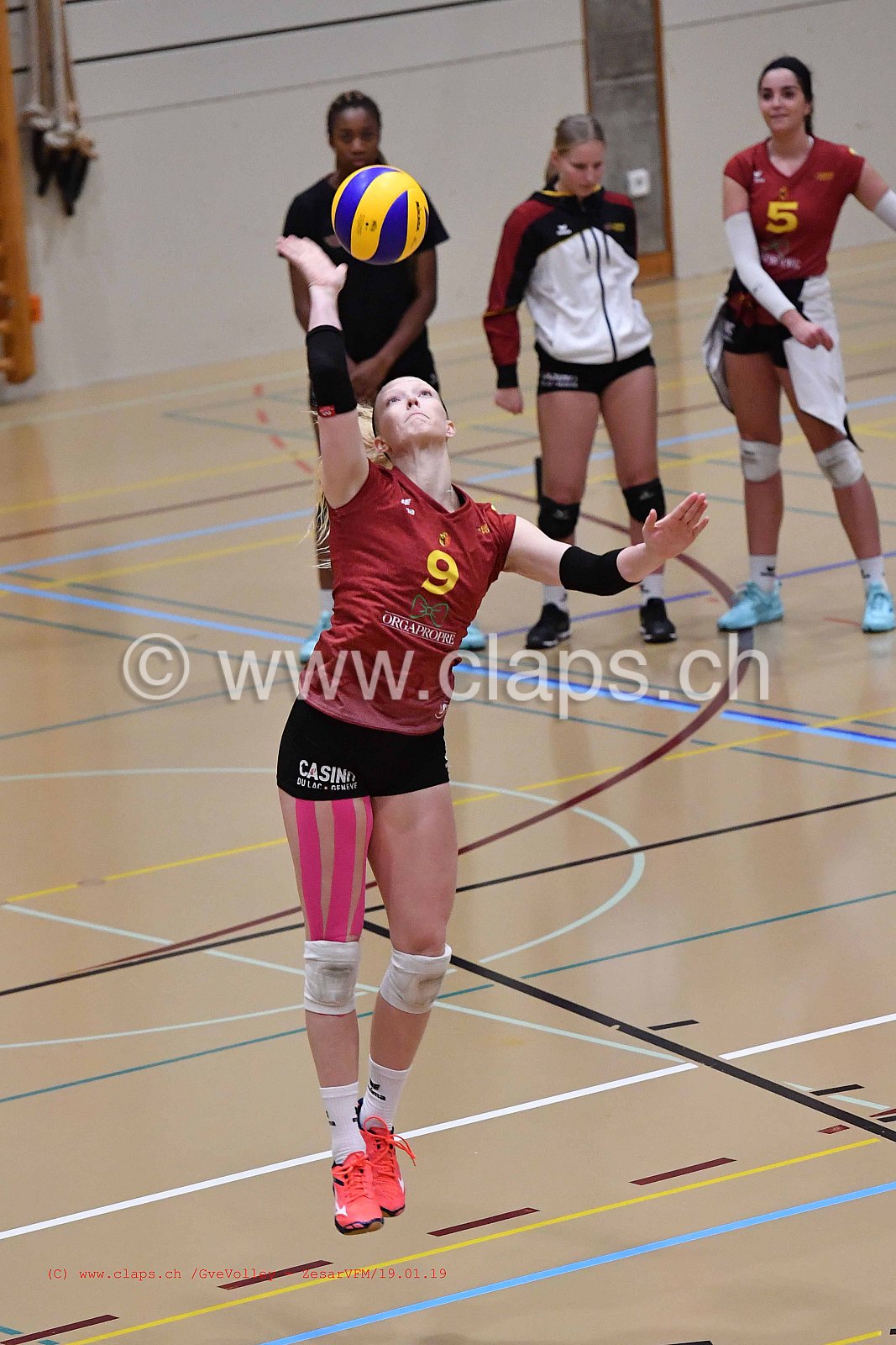 GeneveVolley - ZesarVfm