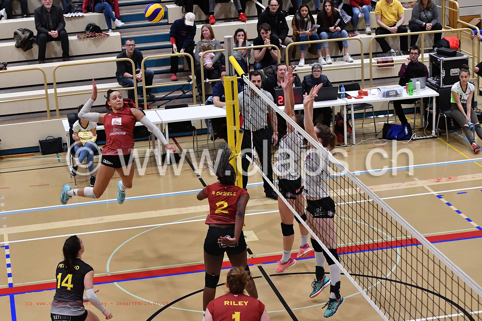 GeneveVolley - ZesarVfm
