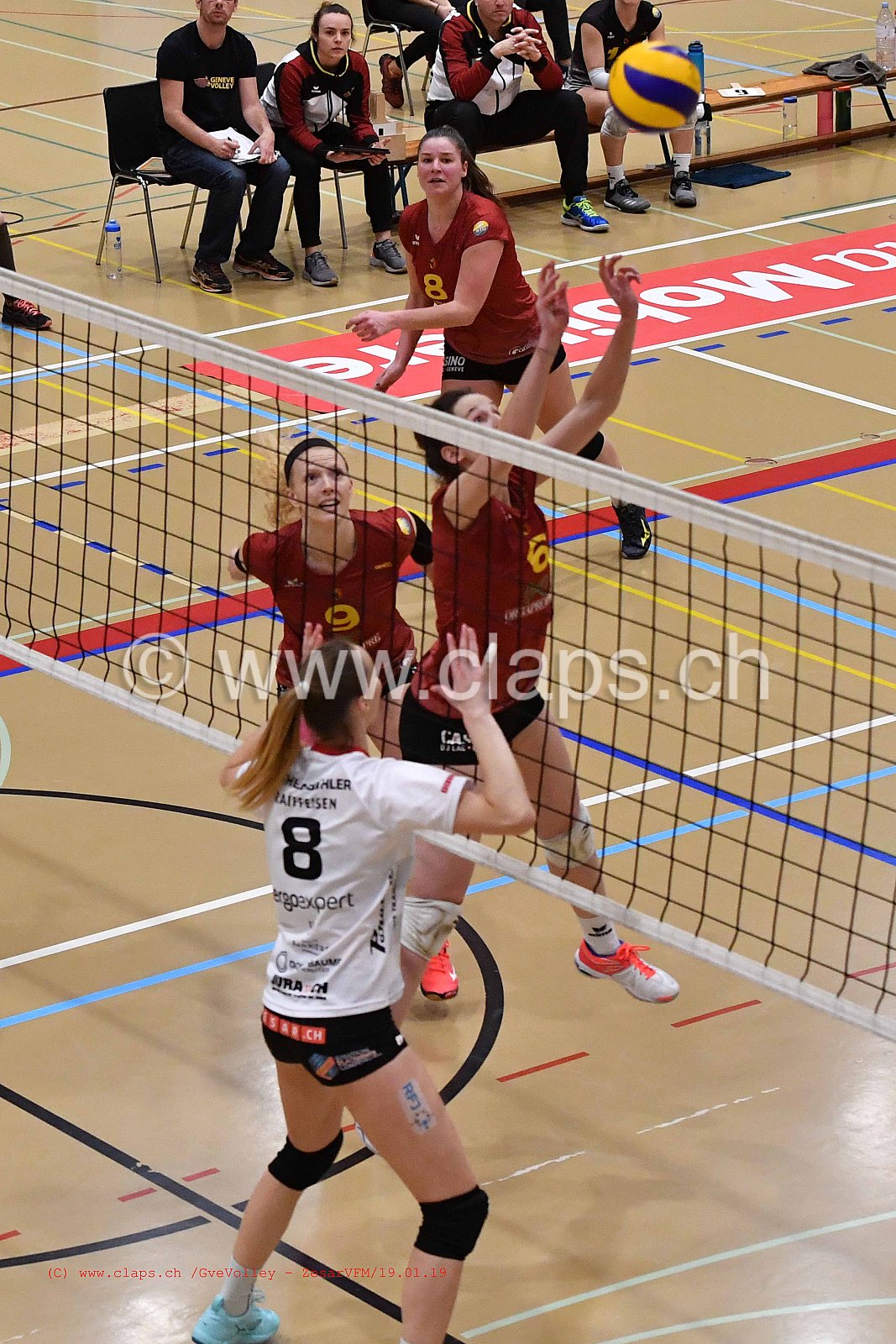 GeneveVolley - ZesarVfm