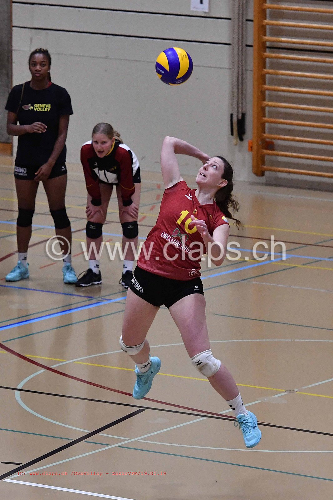 GeneveVolley - ZesarVfm