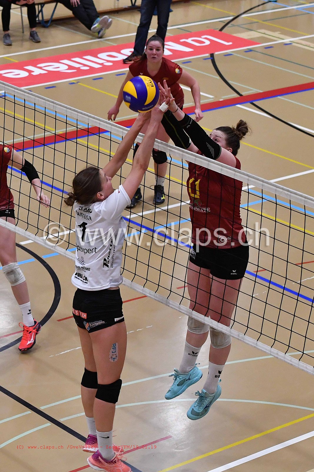 GeneveVolley - ZesarVfm