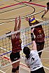 GeneveVolley - ZesarVfm