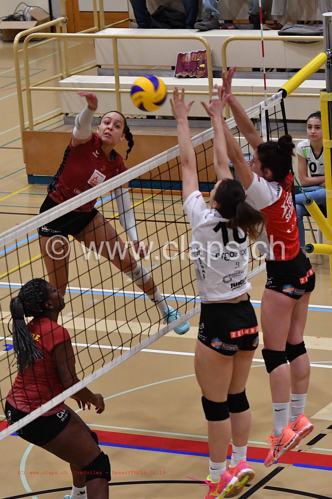 GeneveVolley - ZesarVfm