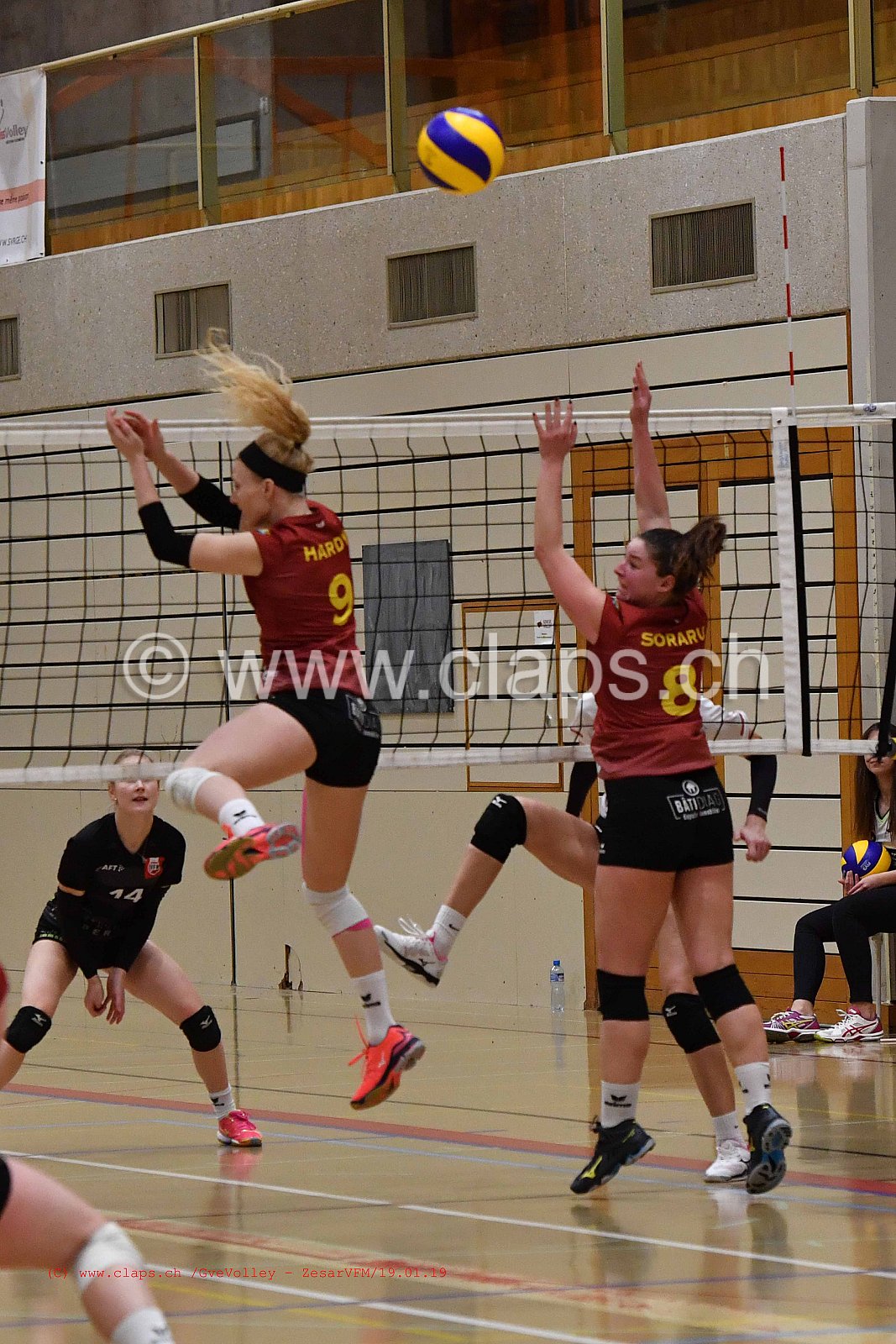 GeneveVolley - ZesarVfm