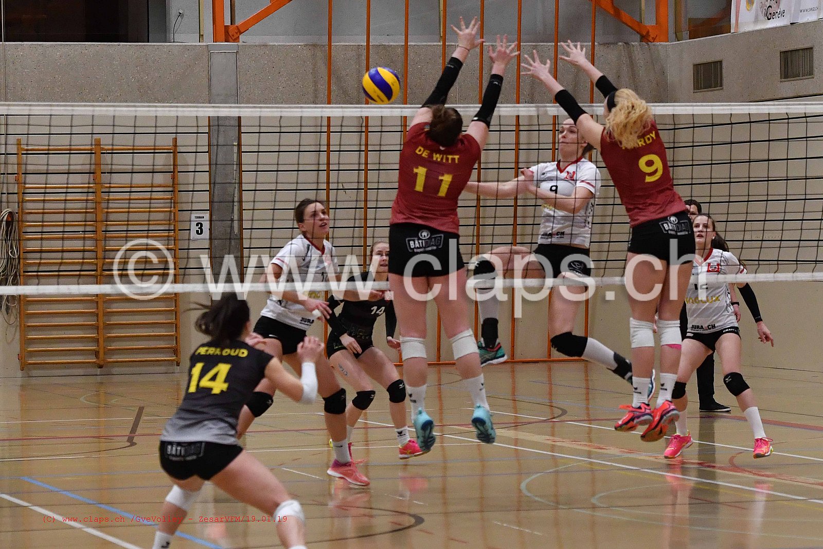 GeneveVolley - ZesarVfm