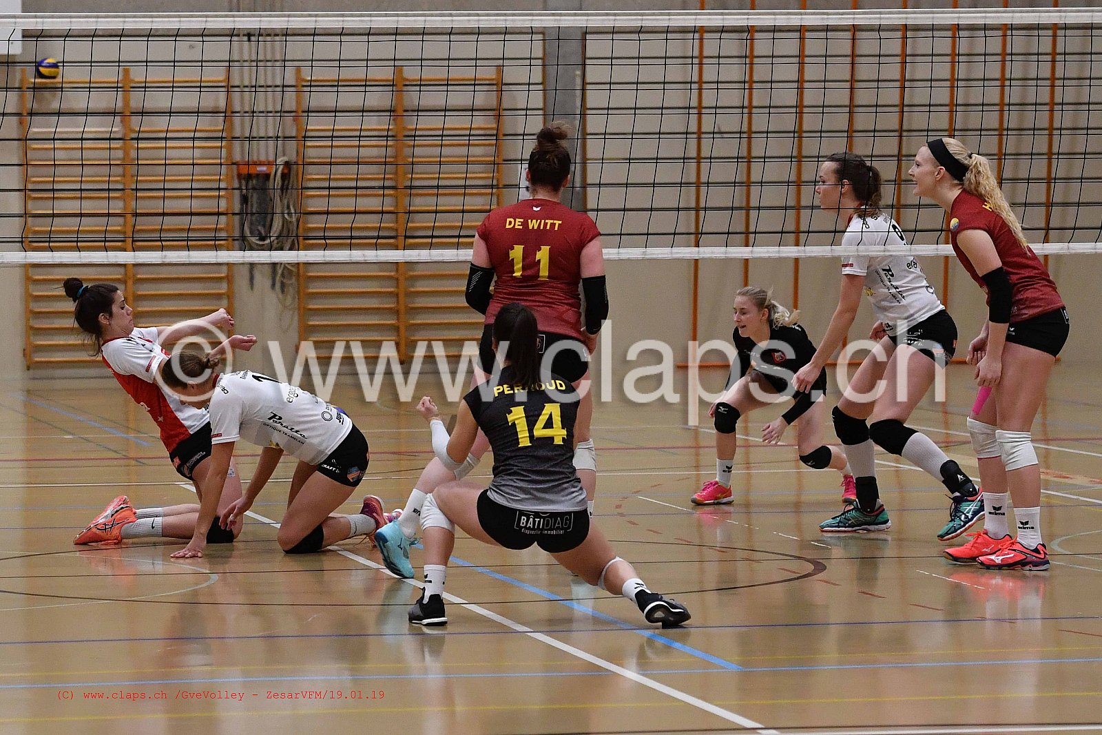 GeneveVolley - ZesarVfm
