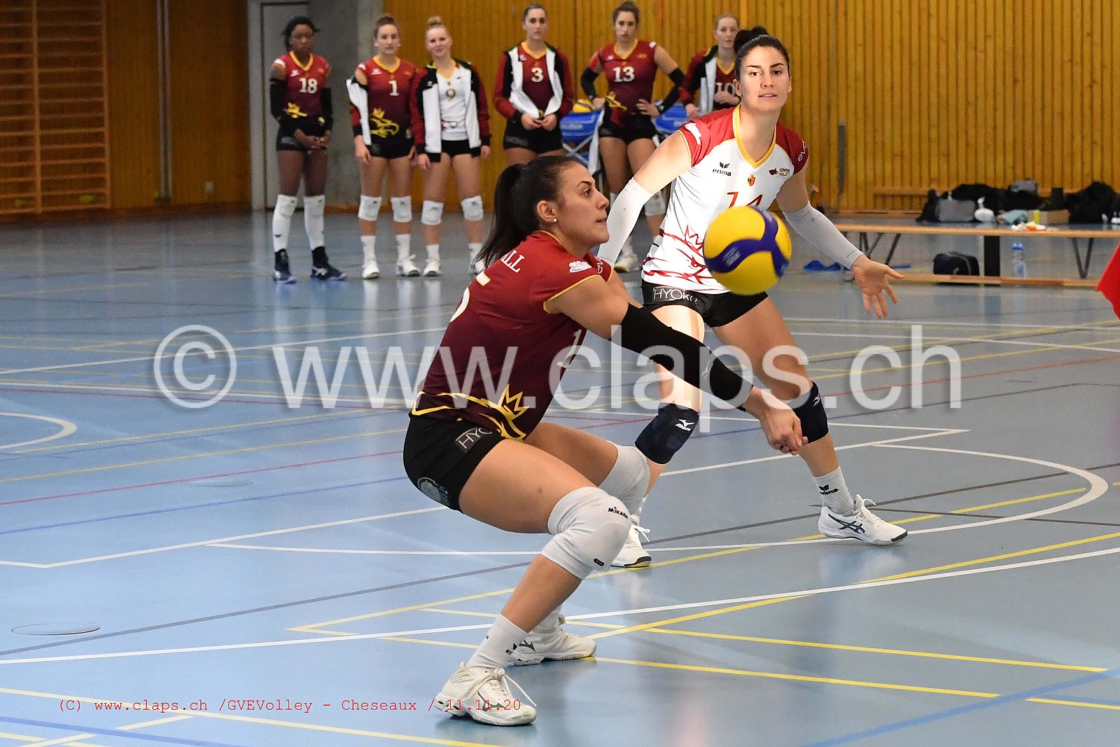 GenèveVolley - Cheseaux