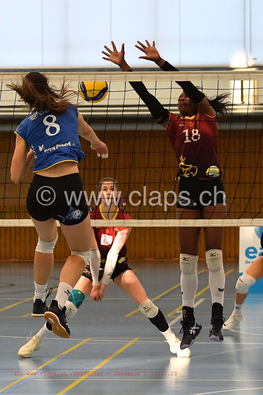 GenèveVolley - Cheseaux