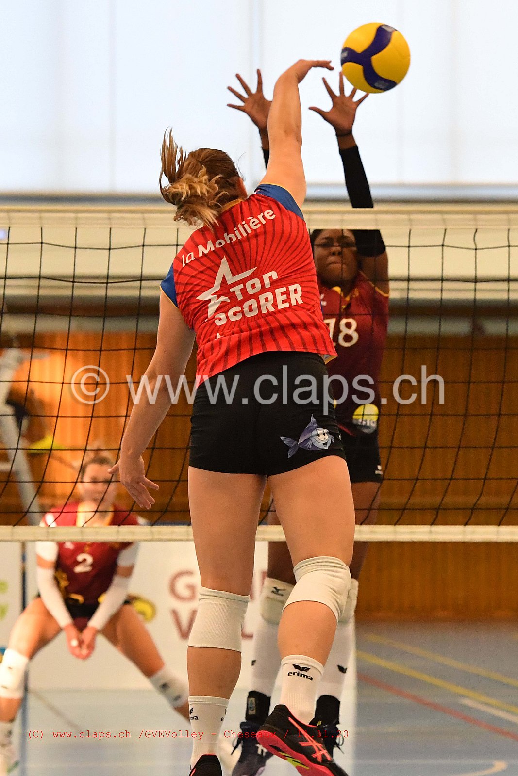 GenèveVolley - Cheseaux
