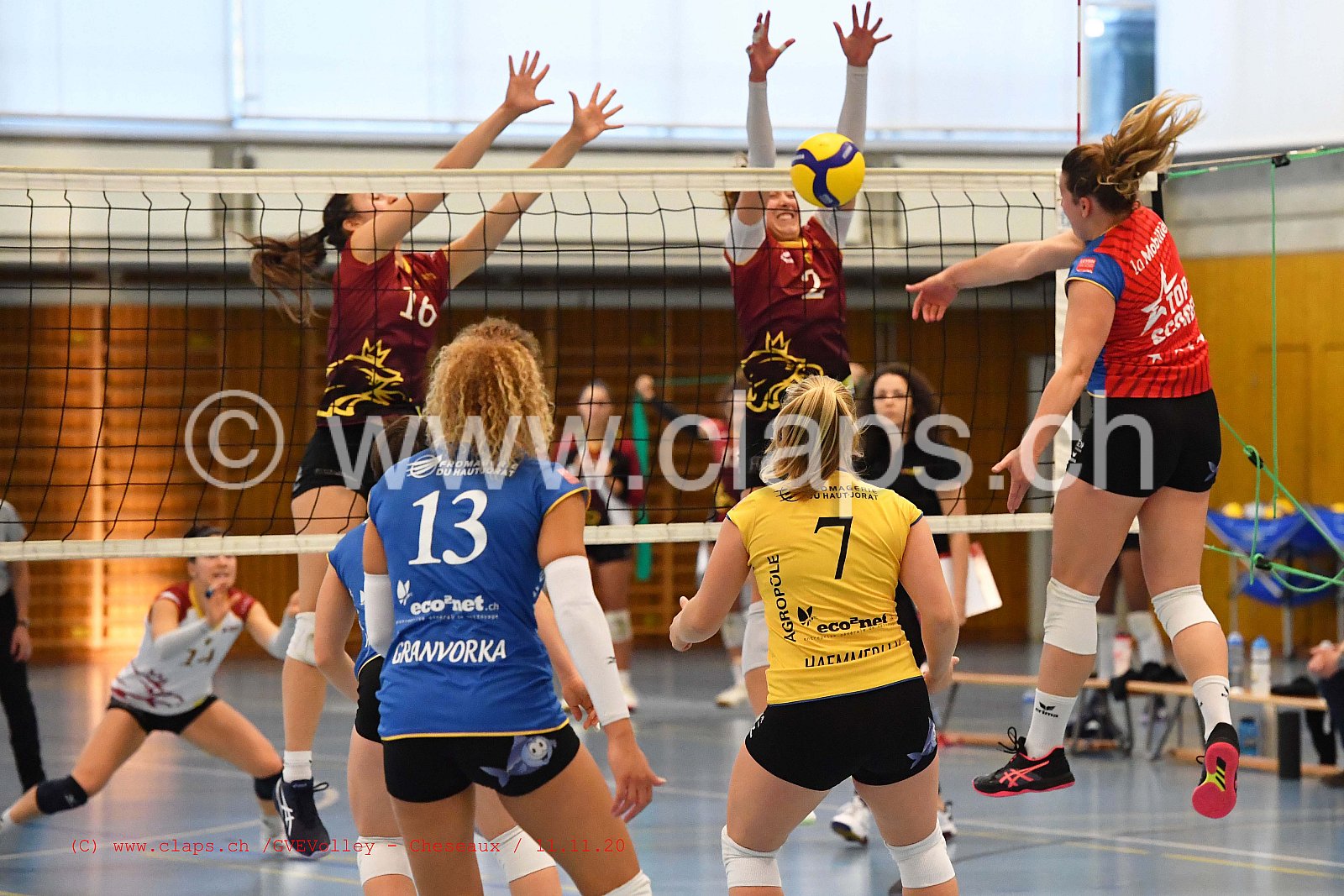 GenèveVolley - Cheseaux