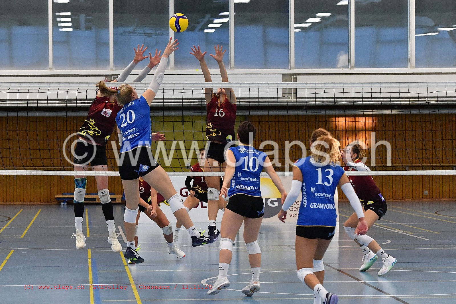 GenèveVolley - Cheseaux