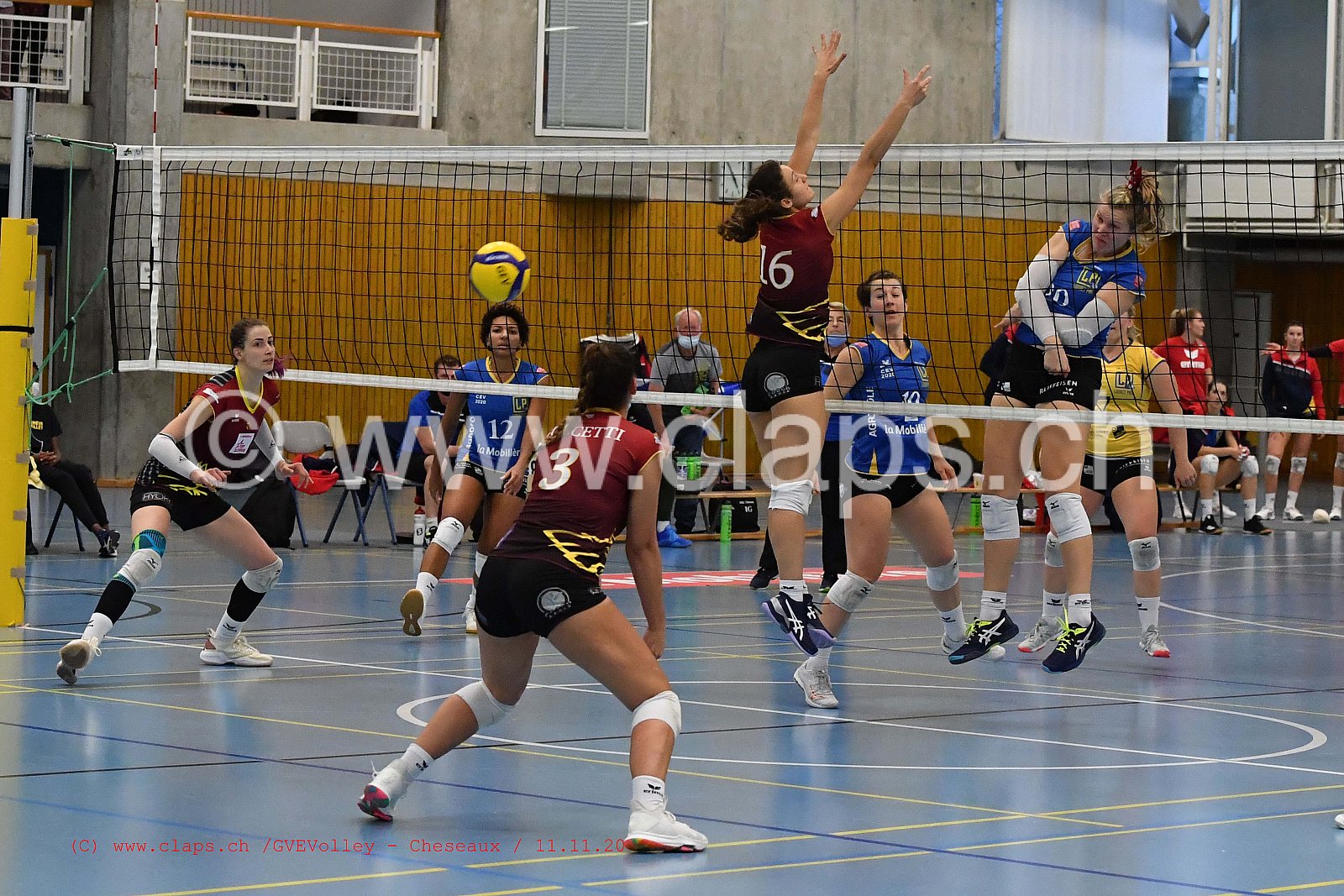 GenèveVolley - Cheseaux