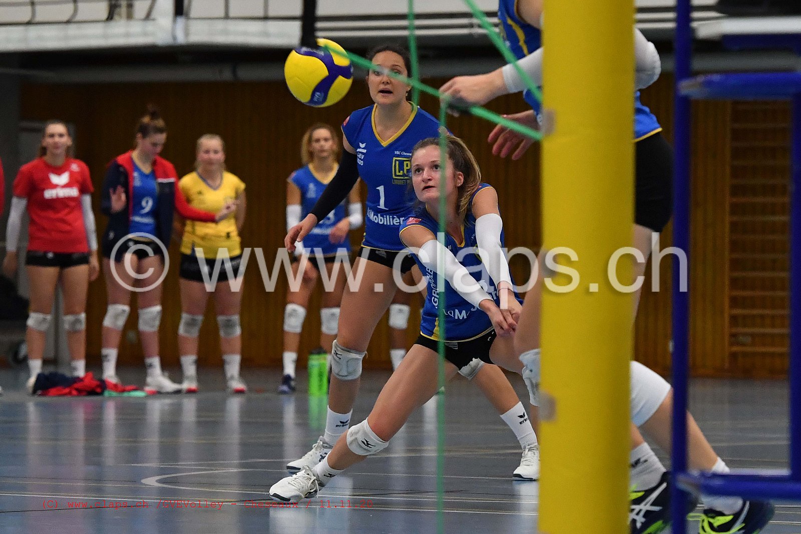 GenèveVolley - Cheseaux