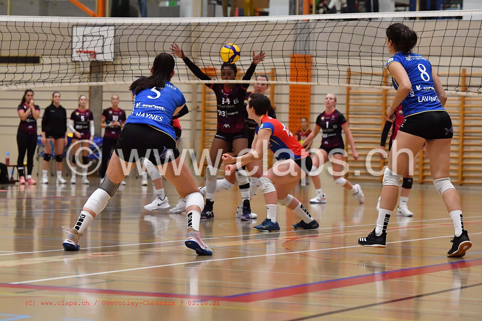 Genève Volley - Cheseaux
