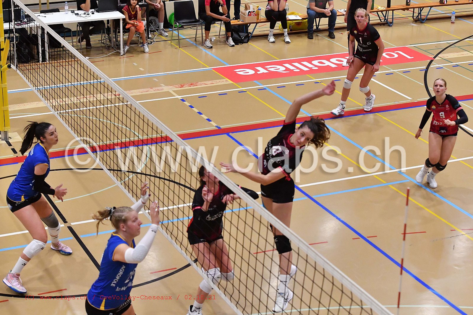 Genève Volley - Cheseaux