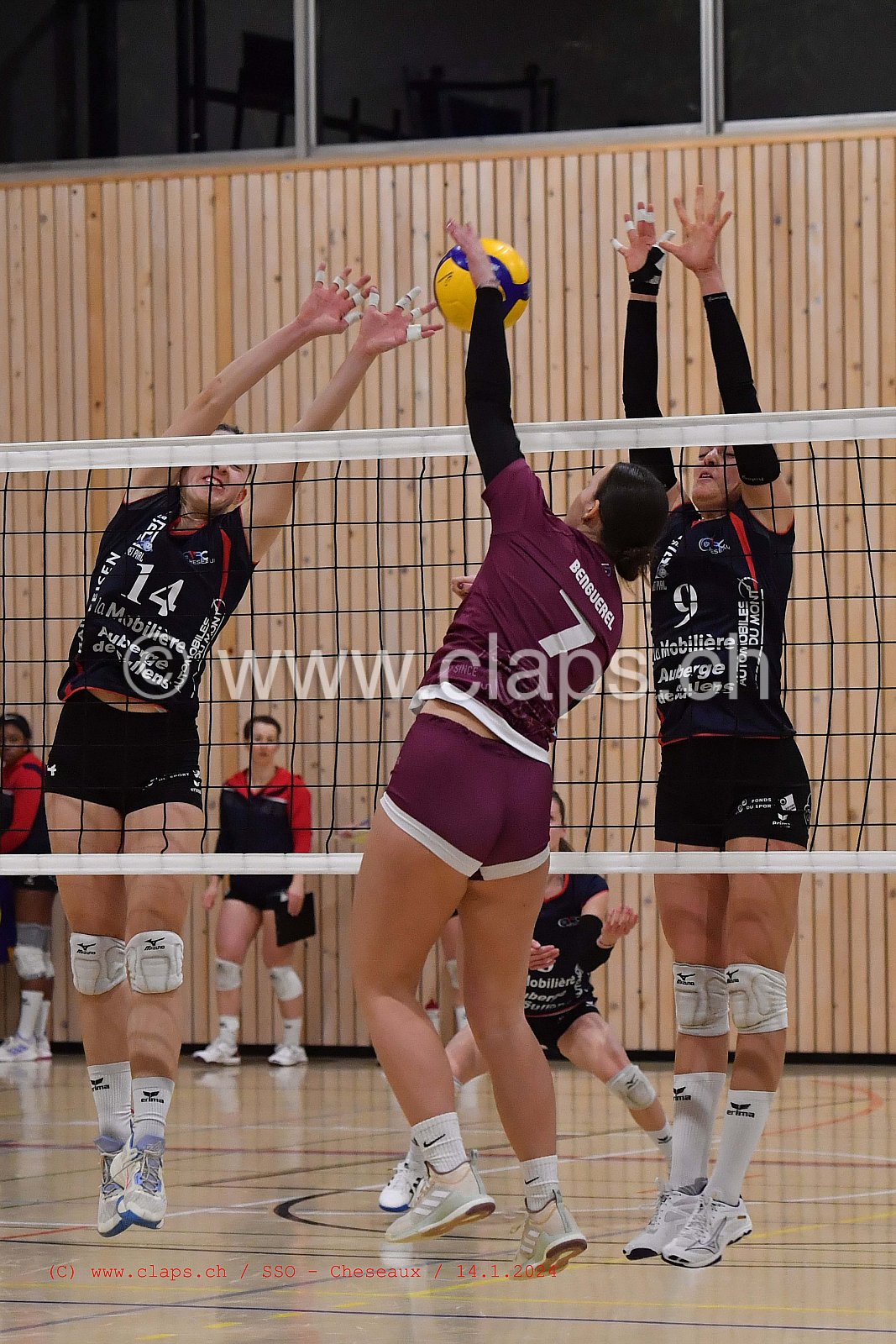 20240114 Servette Star Onex - VBC Cheseaux