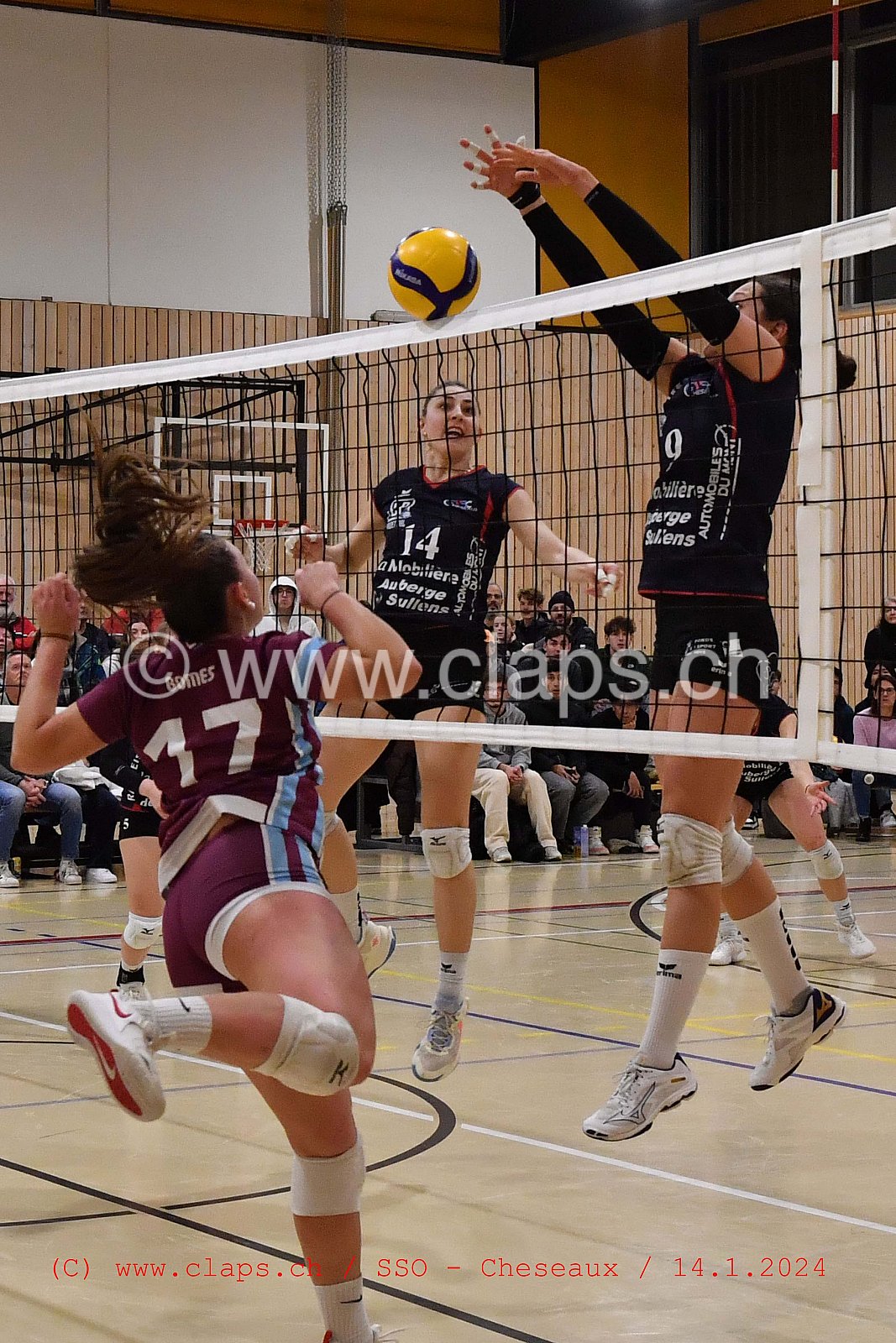 20240114 Servette Star Onex - VBC Cheseaux
