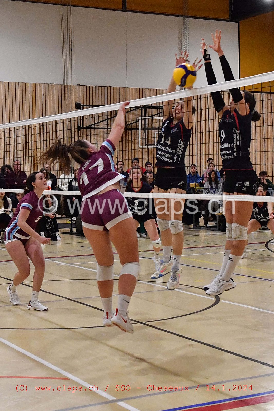 20240114 Servette Star Onex - VBC Cheseaux