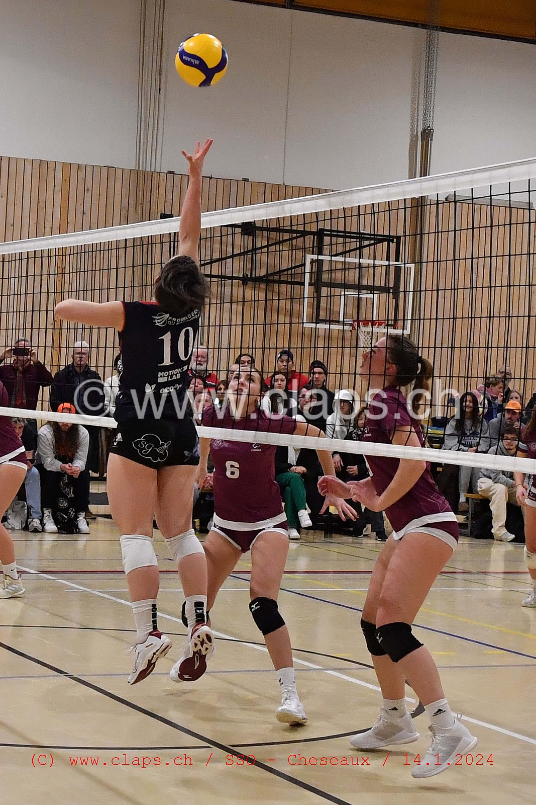 20240114 Servette Star Onex - VBC Cheseaux