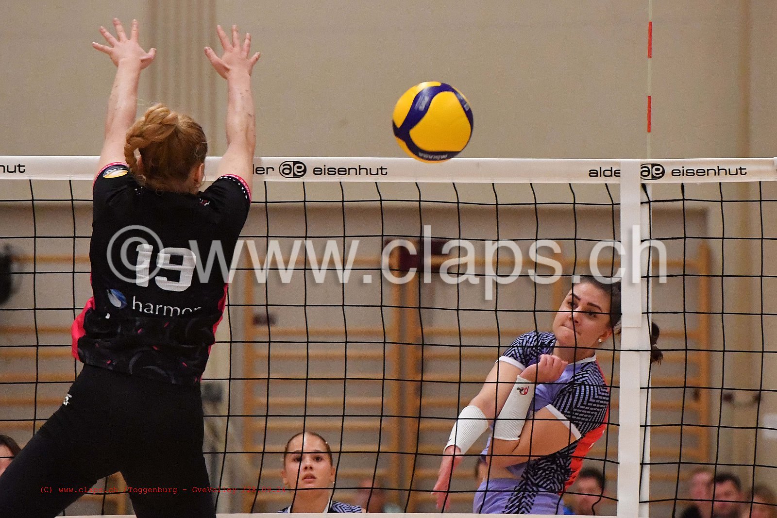 20240928_Toggenburg_Infomaniak_GeneveVolley